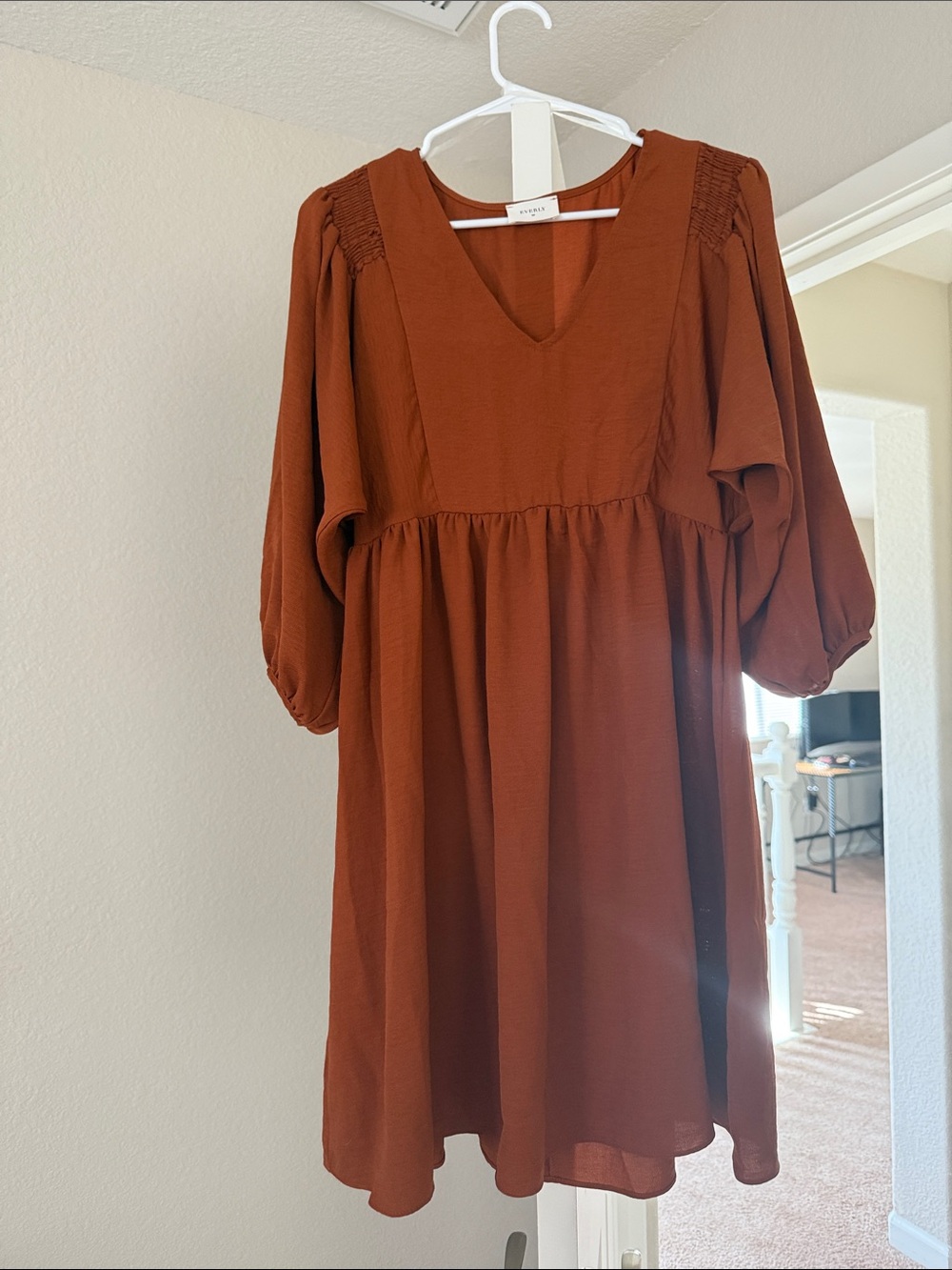 Everly Rust Brown V-Neck Babydoll Dress